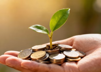 Main d'investisseur tenant une plante verte avec des pièces.