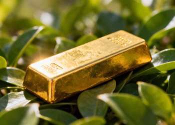 Lingot d'or sur fond de feuilles vertes.