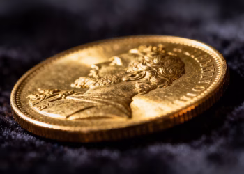 Pièce d'or de collection pour débutants