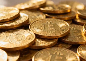 图卢兹的收藏金币