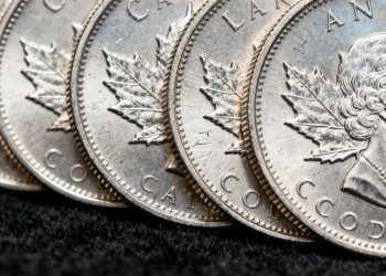 Pièces d'argent Maple Leaf
