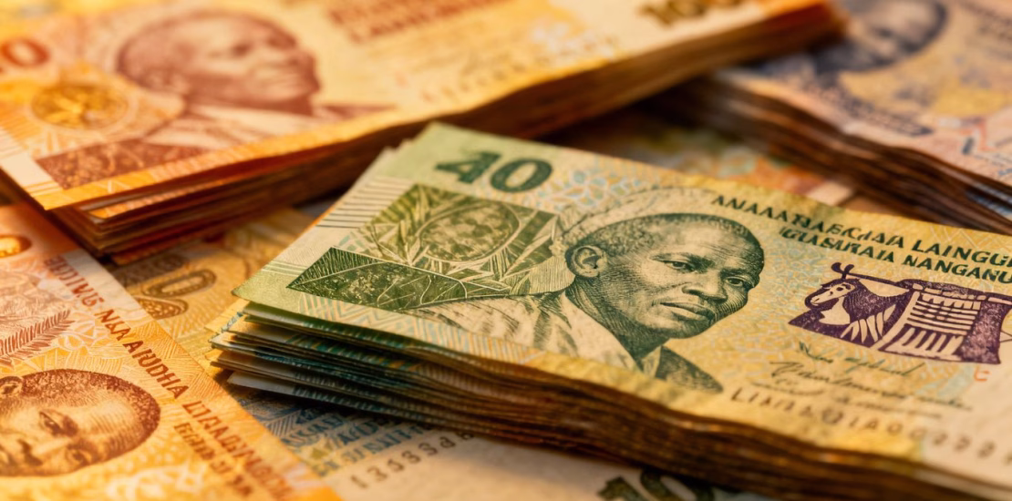 南非兰特和斯威士兰里兰吉尼纸币混在一起。