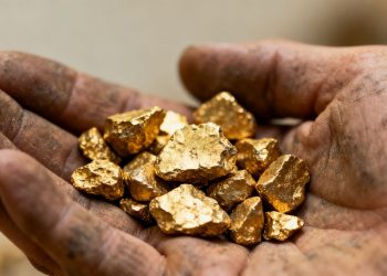 Main d'une personne tenant des pépites d'or brutes.