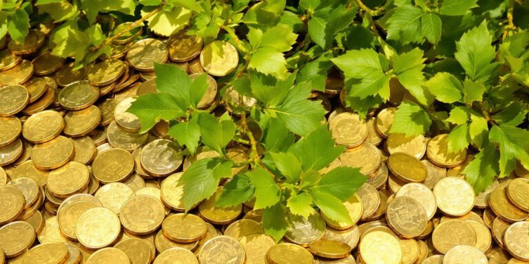 L’argent est-il concerné par l’écocontribution
