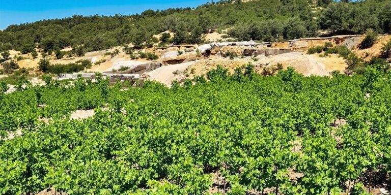 Orpaillage : Réhabilitation et restauration des sites