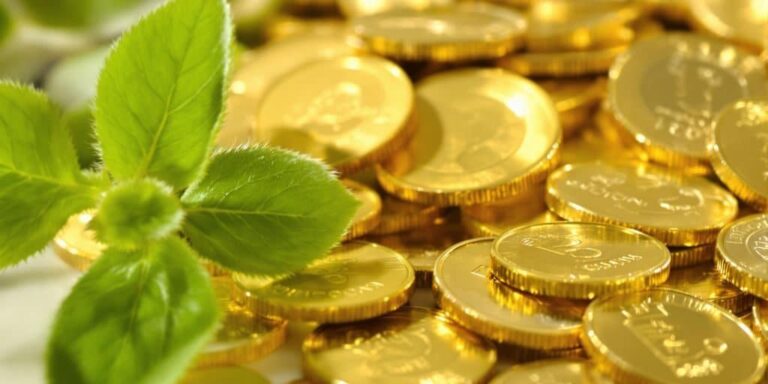PEA et investissement or