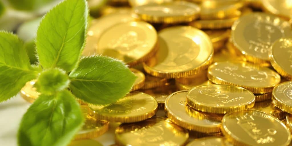 PEA et investissement or