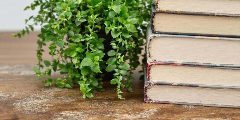 Livres pour investir dans l'argent