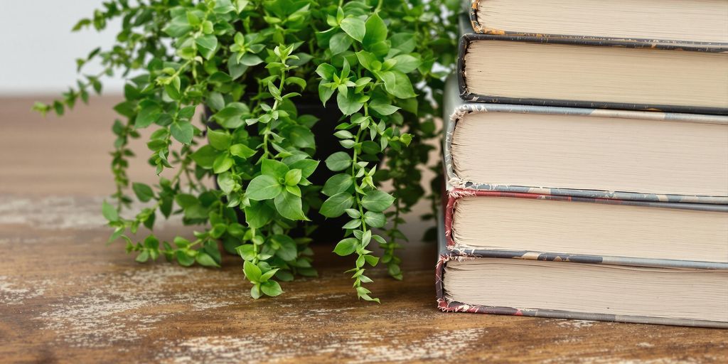 Livres pour investir dans l'argent