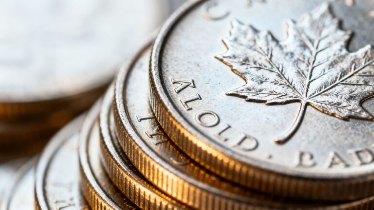 Pièces d'argent maple leaf