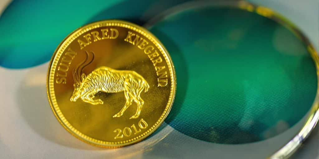Le Krugerrand Or : pourquoi cette pièce sud-africaine reste incontournable