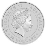 Koala en Argent - 1Kg - Australie