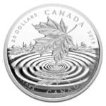 Maple Leaf Reflet en Argent - 31,1 g (1 Oz) - Canada Pile