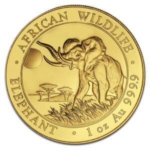 Somalie Èléphant en Or - 31,1 g (1 Oz) - Somalie Face