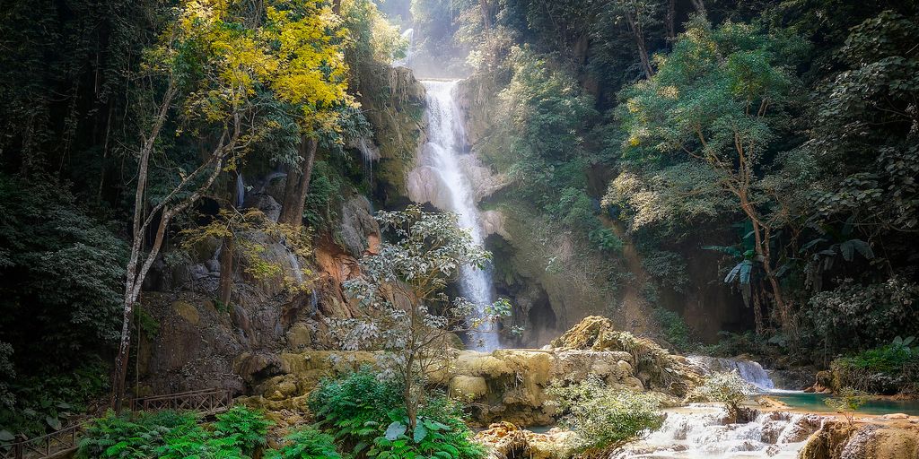 Cascades et arbres