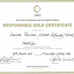 Certificat LBMB Lingots d'Or 20 Grammes - LMBA Lingot Umicore