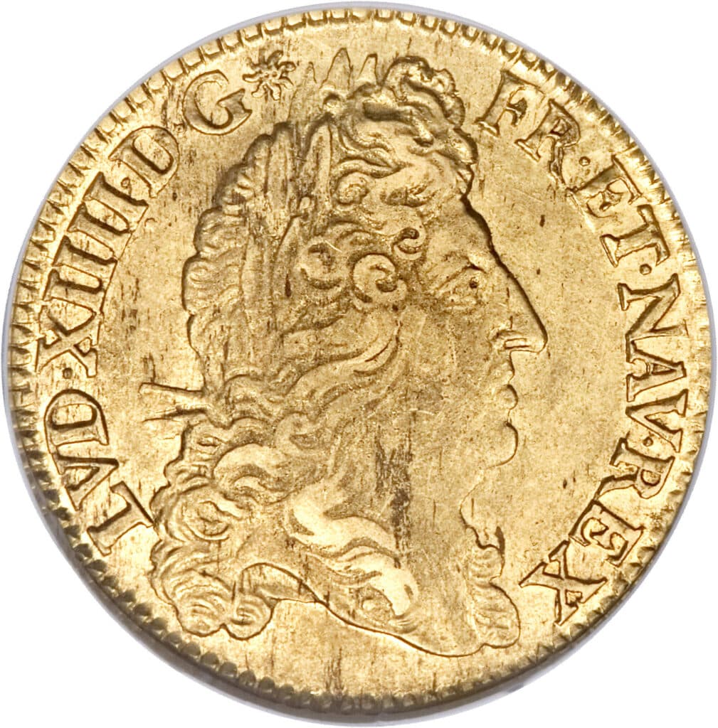 Avers Double louis d'or à l'écu - Louis XIV - 1690 - France — pièce en or