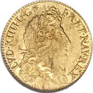 Avers Double louis d'or à l'écu - Louis XIV - 1690 - France — pièce en or
