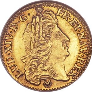 Avers Louis d'or à l'écu - Louis XIV - 1690-1693 - France — pièce en or