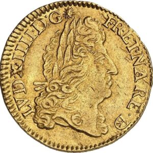 Avers Louis d'or de Béarn à l'écu - Louis XIV - - France — pièce en or
