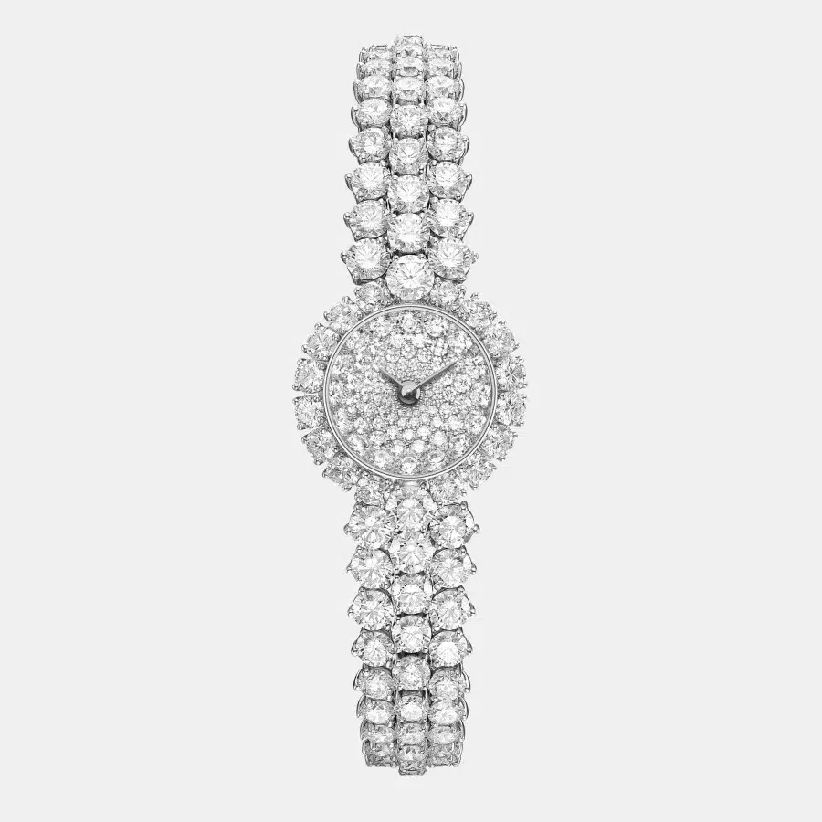 Montre A Cheval Van Cleef & Arpels en platine, diamant 15.8ct — photographie du modèle, cote d’occasion GOLDMARKET